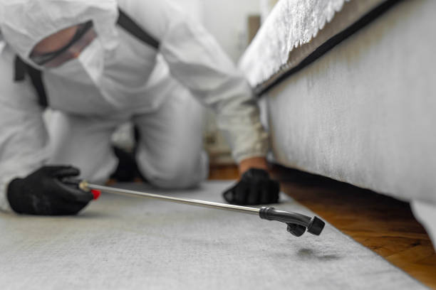 Professional Bed Bug Control technician working in Guntersville, AL