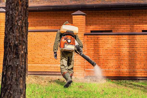 Trusted Mosquito Control service in Guntersville, AL - Nex Pest Control